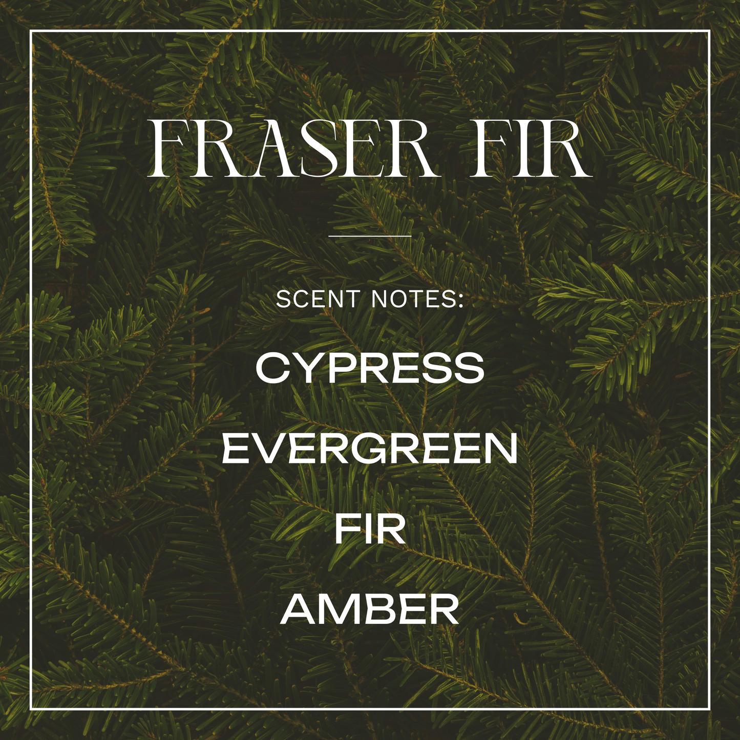 Fraser Fir – 9 oz Soy Candle